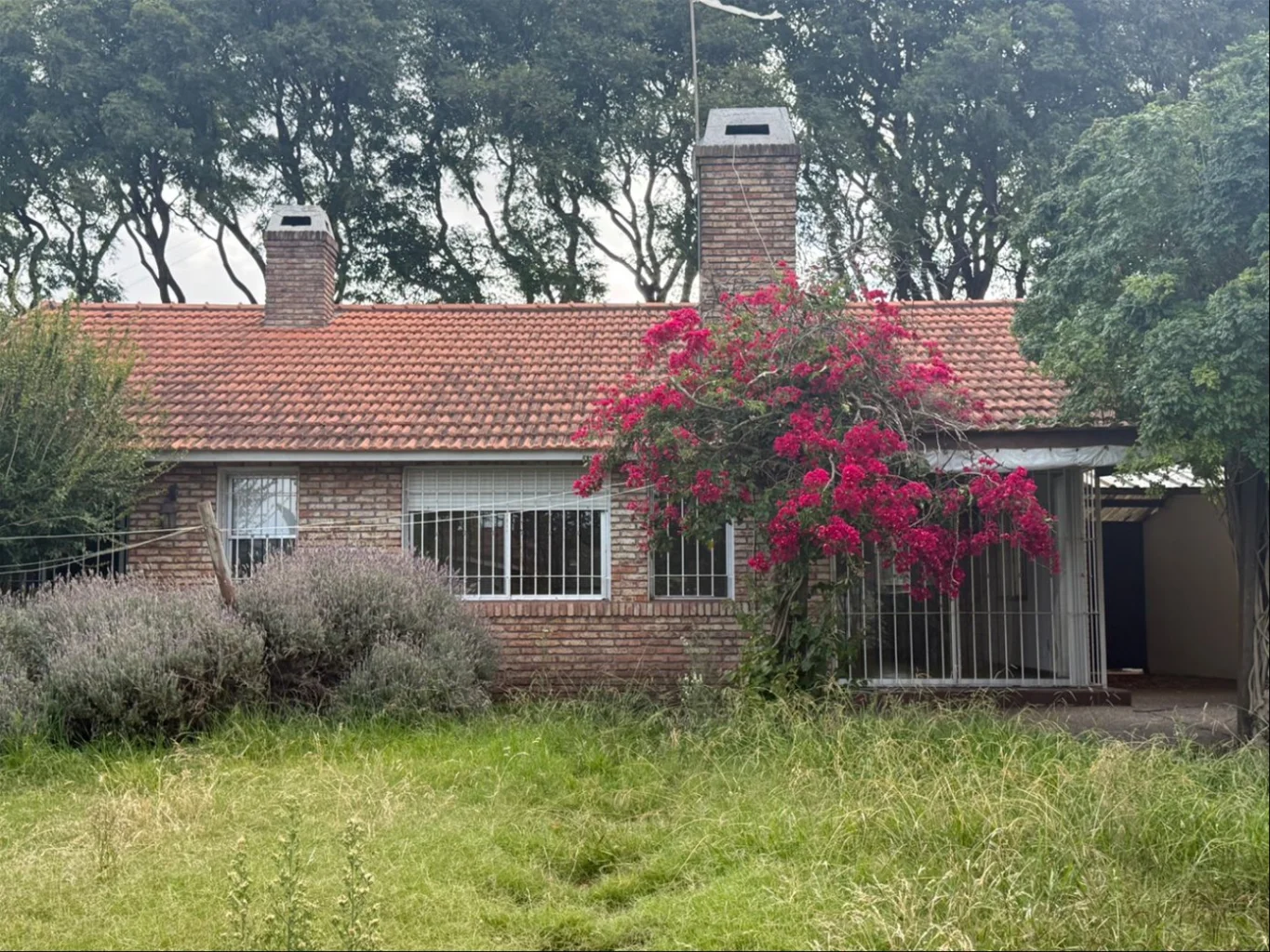 Casa en Punta Gorda, propiedad 290900 -Imagen 2