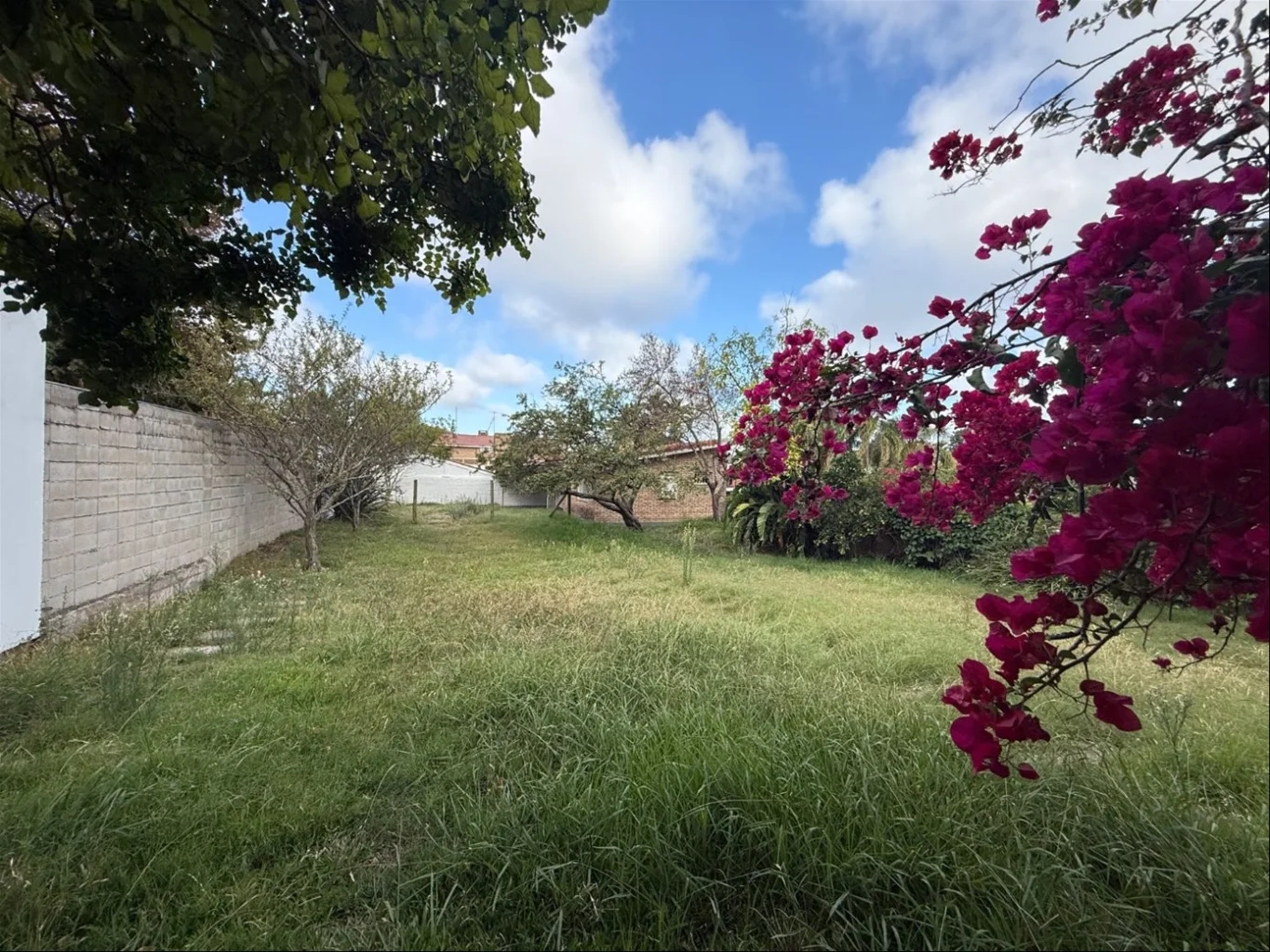 Casa en Punta Gorda, propiedad 290900 -Imagen 24