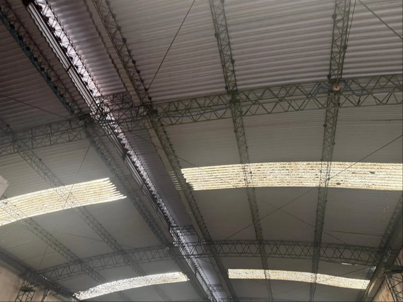Depósito en Buceo, propiedad 291234 -Imagen 3