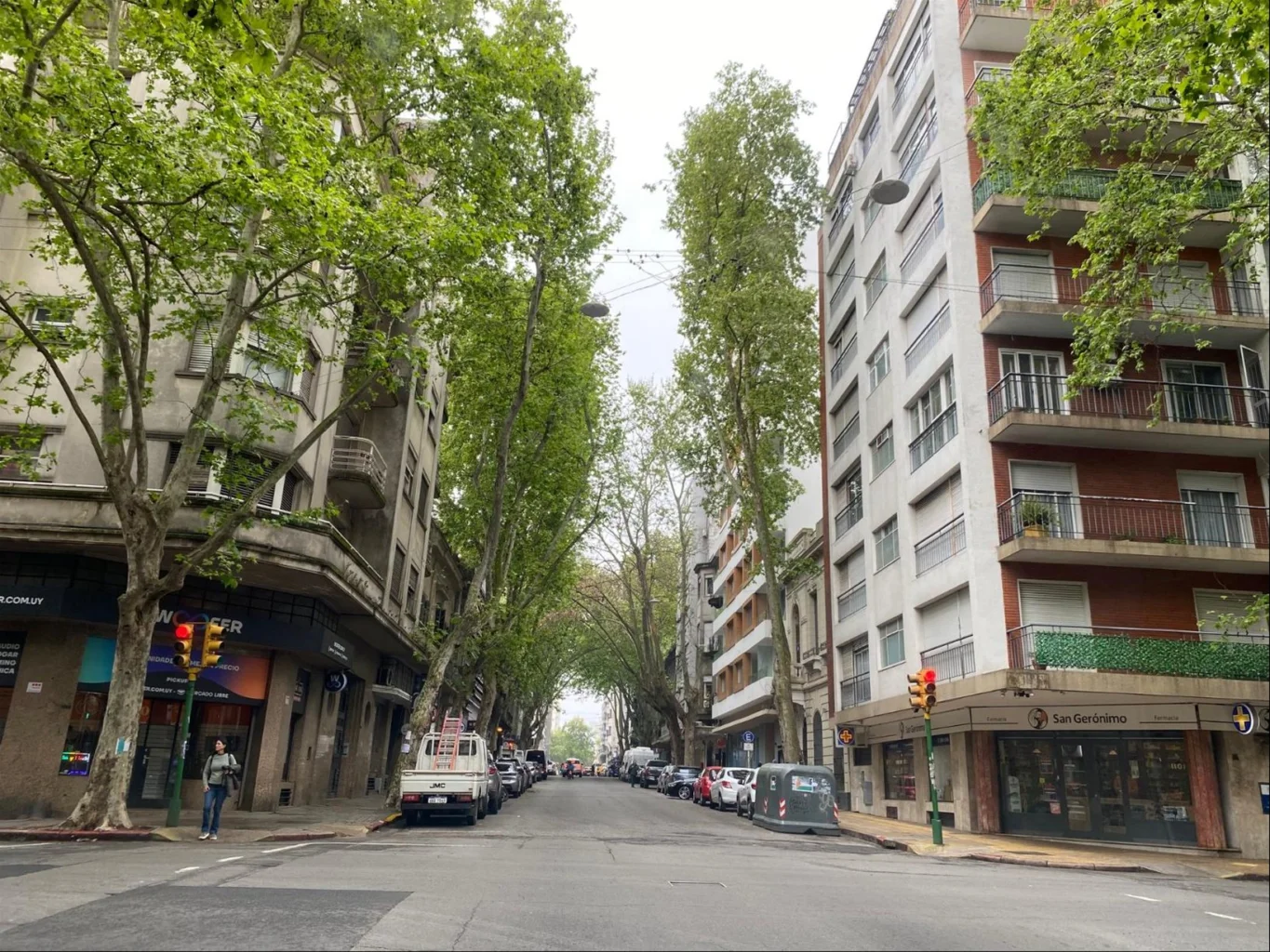 Terreno en Centro, propiedad 301337 -Imagen 5