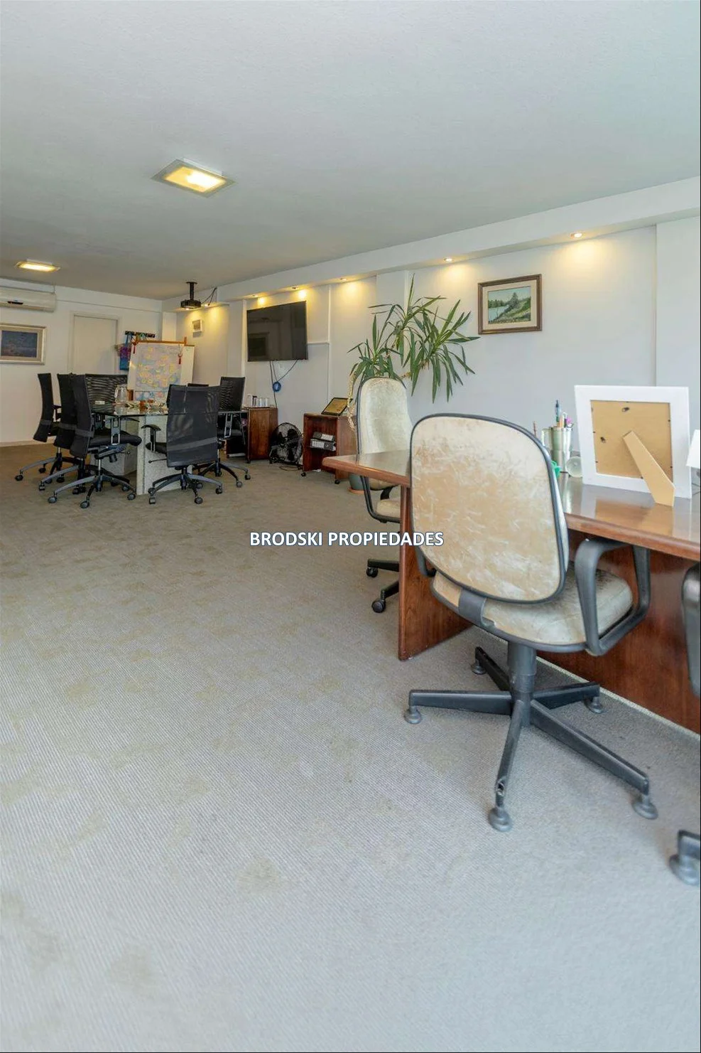 Oficina en Tres Cruces, propiedad 277699 -Imagen 4