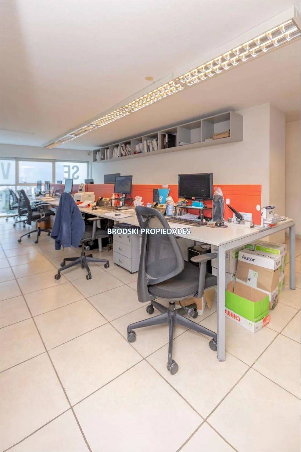 Oficina en Tres Cruces, propiedad 277699 -Imagen 8