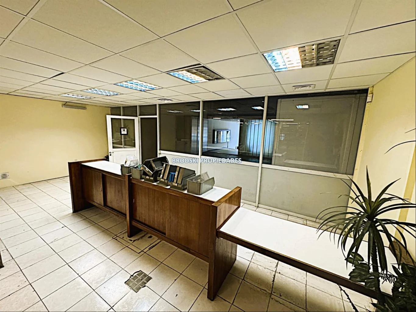 Local en Aguada, propiedad 299897 -Imagen 17