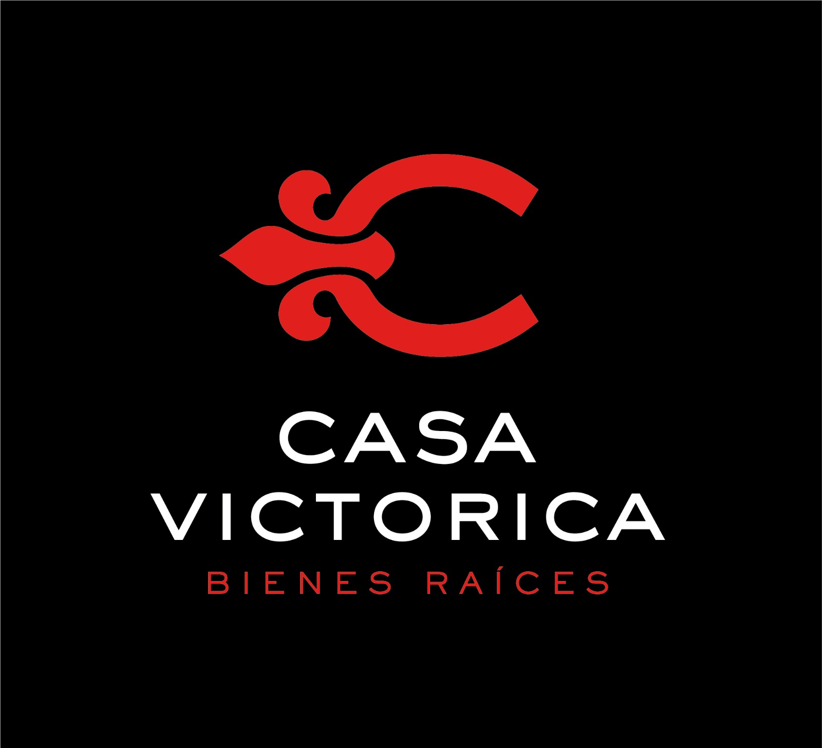 Casa Victorica SRL