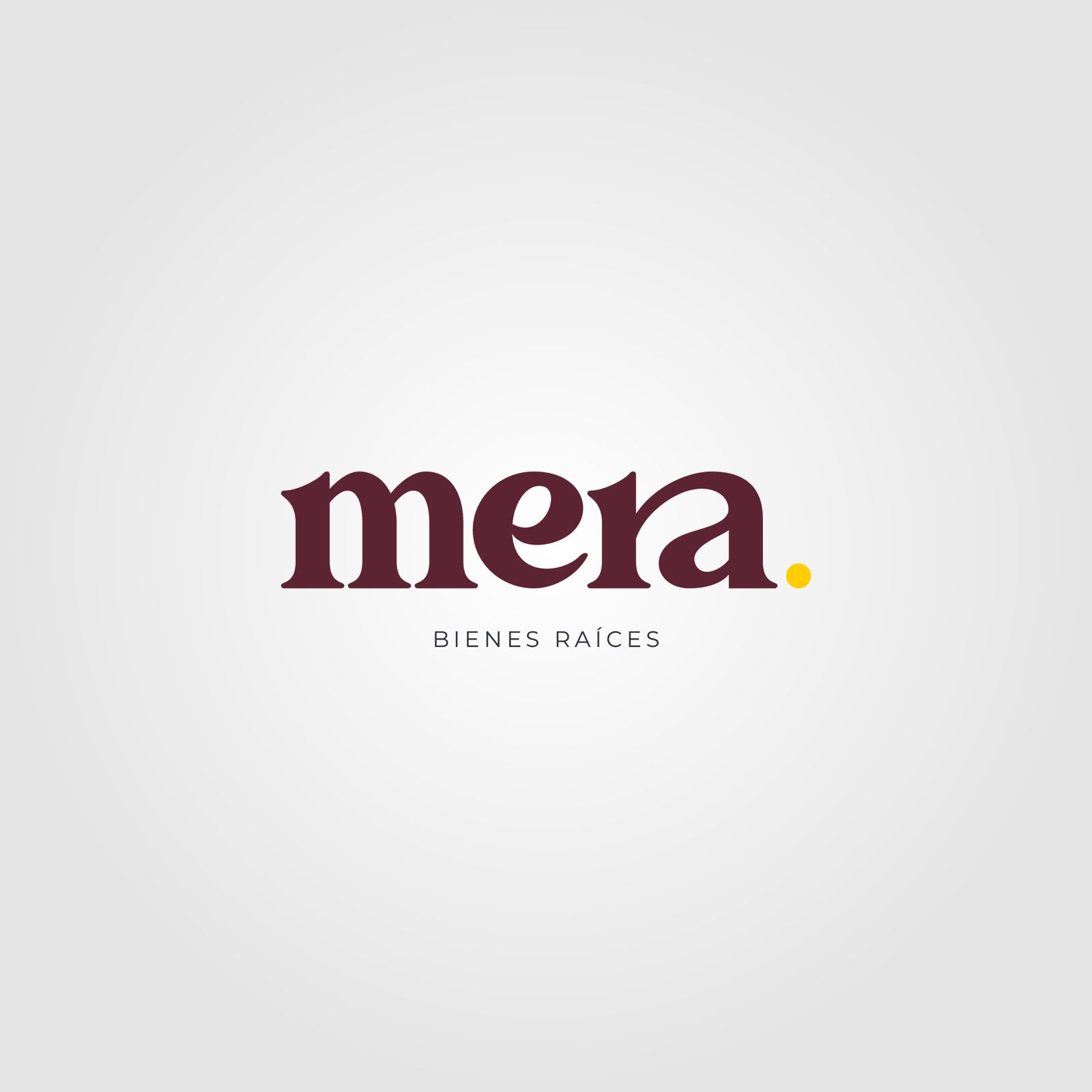 MERA BIENES RAICES